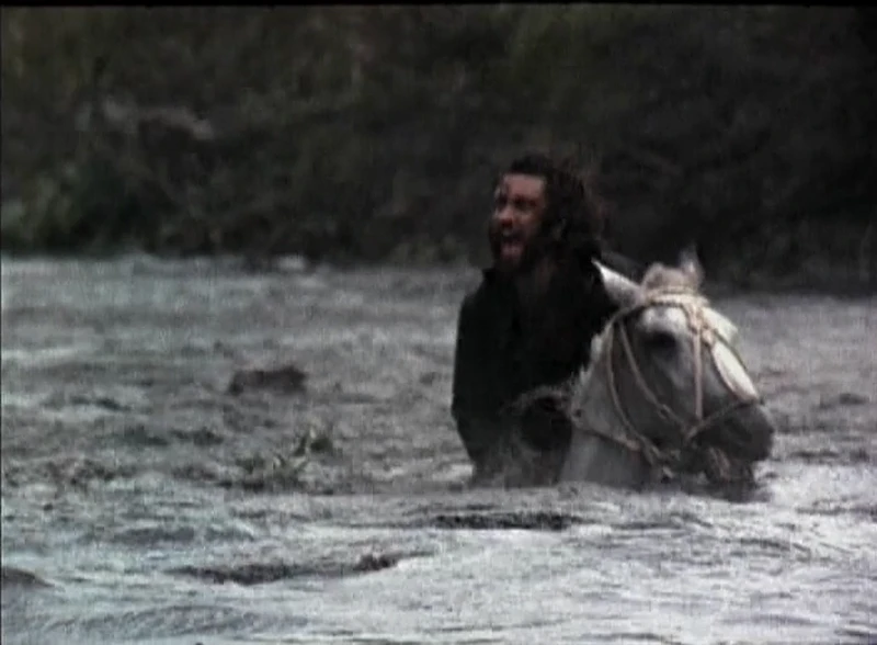 Can…. can horses swim?