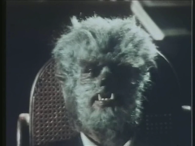 the first werewolf movie to remember that wolves are dogs