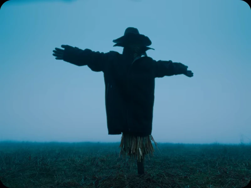 a very cat thing to do a very cat thing to do