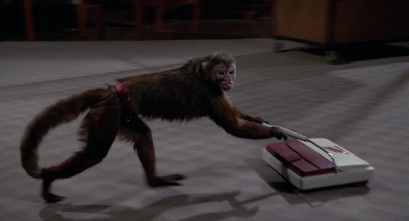 it cleans between murders it cleans between murders