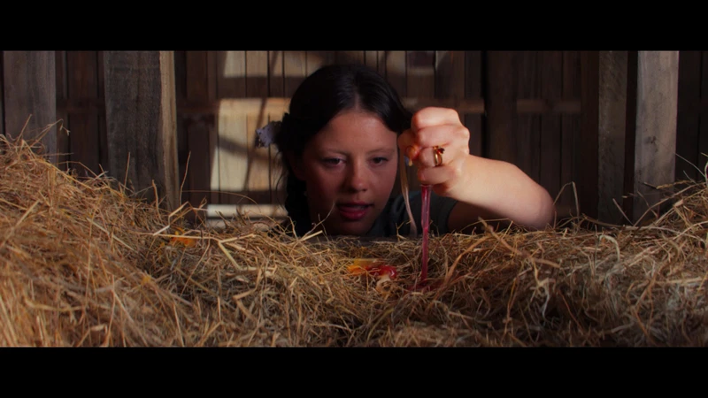 They should run out of farm animals pretty fast. They should run out of farm animals pretty fast.