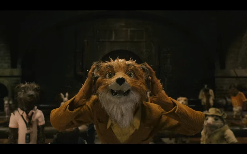 Foxes are basically dogs.