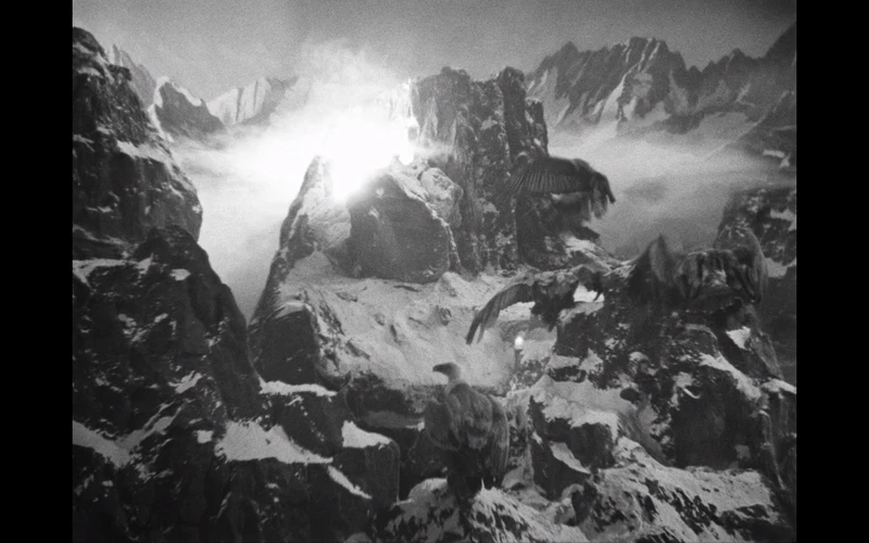 Starting a Condor War? Must not haven't heard how it went with the emus. Starting a Condor War? Must not haven't heard how it went with the emus.