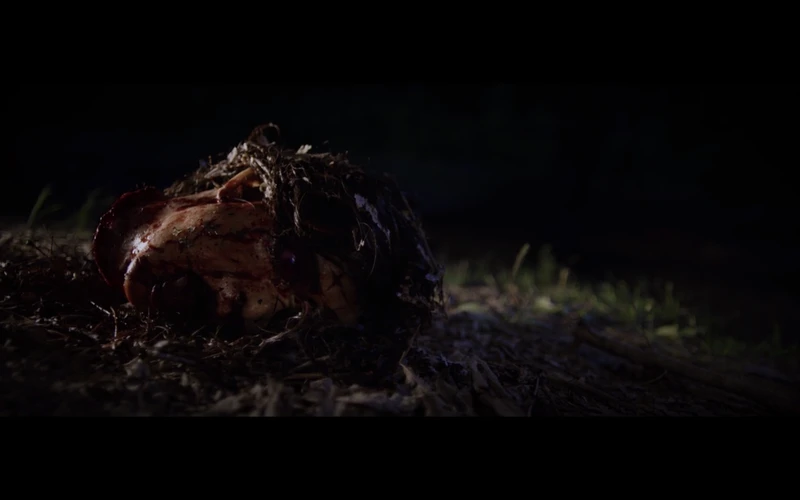 It's what you like to see in intros. It's what you like to see in intros.