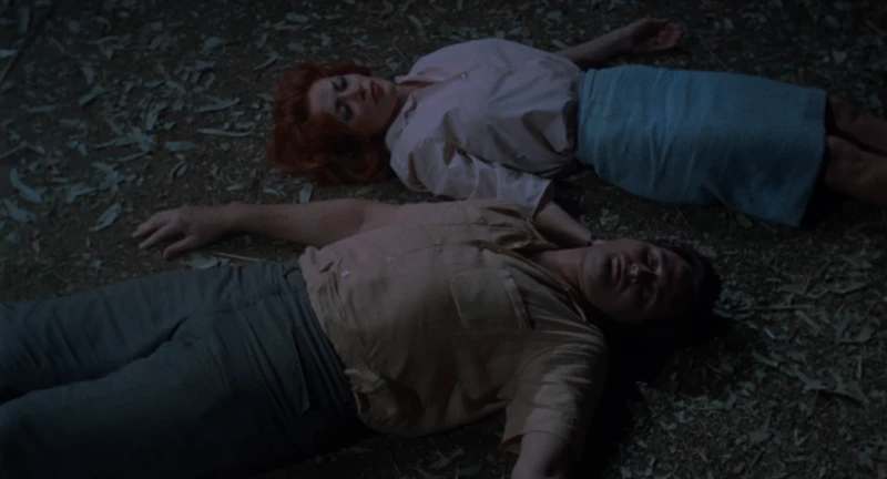 or, at least, they don't die fast enough