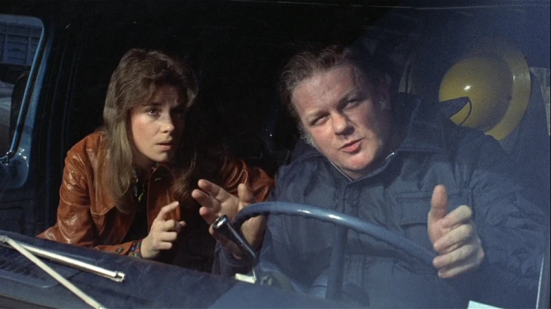 they mix it up and watch from a van sometimes