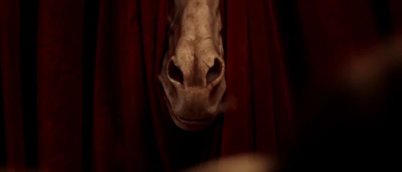 Murder horse. Murder horse.