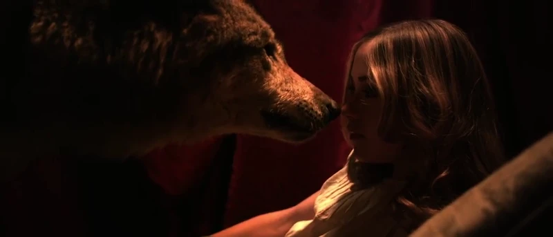 Not sure what the wolf is about. Not sure what the wolf is about.