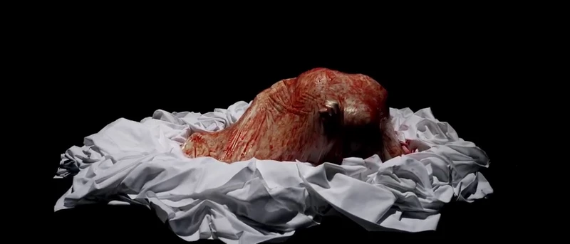 Birth of a fully-formed adult. Birth of a fully-formed adult.