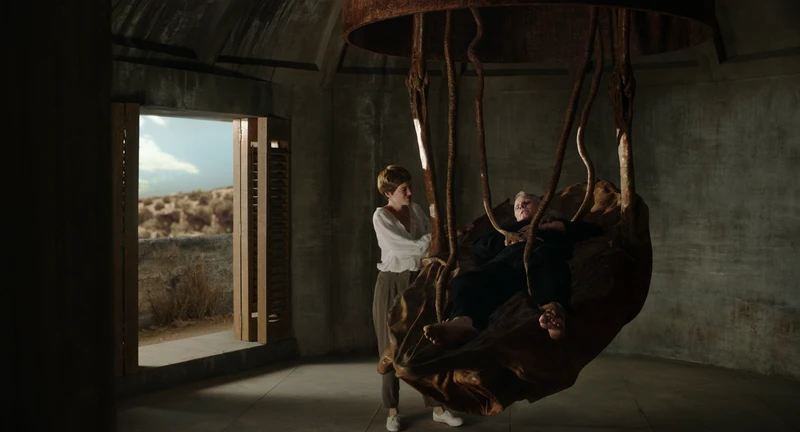 Aragorn napping in an intestinal bed. Aragorn napping in an intestinal bed.