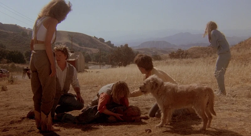 At least they don't waste any time about it.