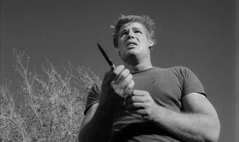 It may or may not be intentional. It may or may not be intentional.