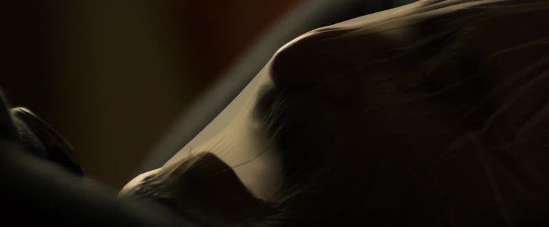 Suffocation is his preferred method of relaxation. Suffocation is his preferred method of relaxation.