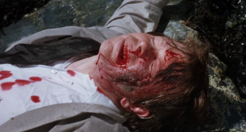 He was also previously pelted with very small rocks. He was also previously pelted with very small rocks.