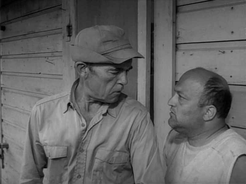 When will we find out who they want? When will we find out who they want?