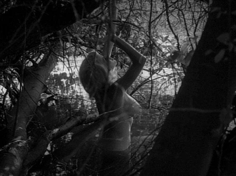 This film did not send a good message to men. This film did not send a good message to men.