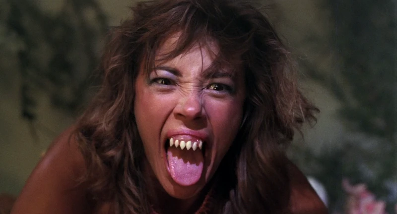 Never trust a woman with a tarzan room. Never trust a woman with a tarzan room.