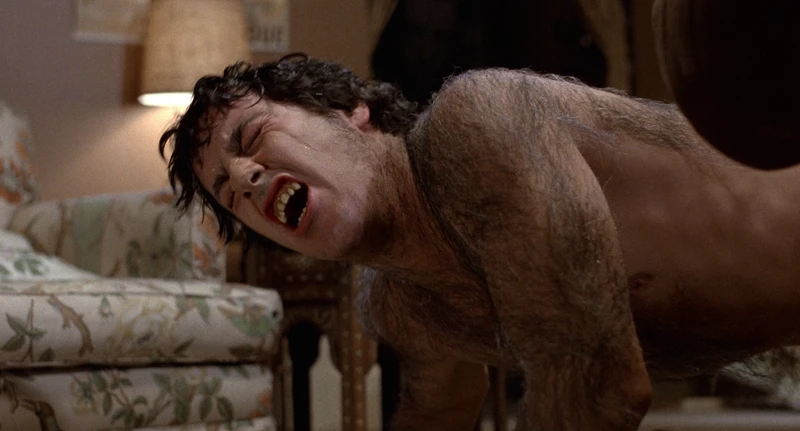 Migraines cause such odd behavior. Migraines cause such odd behavior.