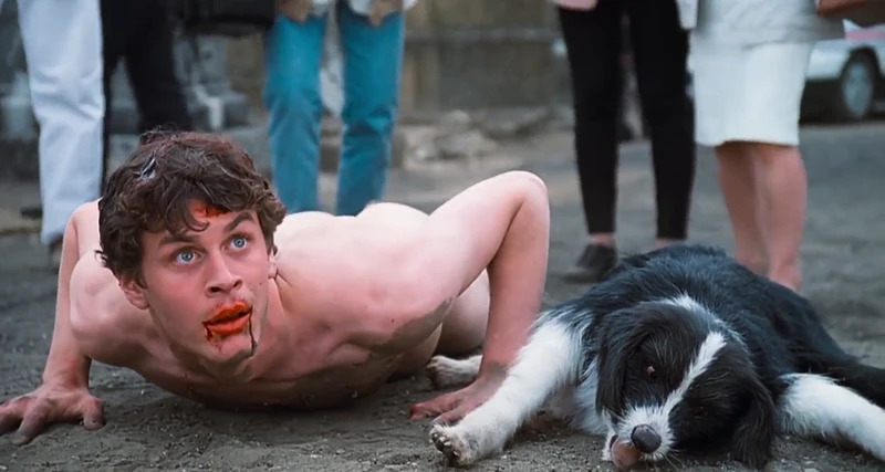 The dog, I'm afraid, did not make it. The dog, I'm afraid, did not make it.