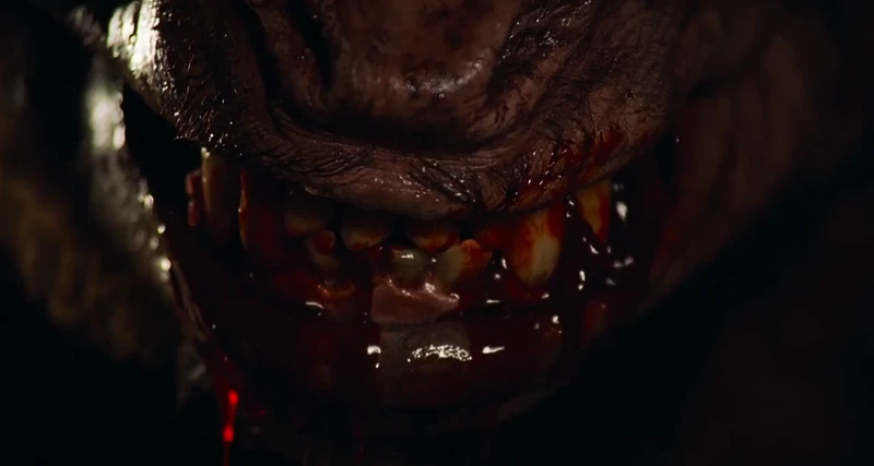 Well, no, considerably more stupid. Well, no, considerably more stupid.