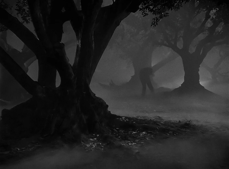 The Burtonesque woods.