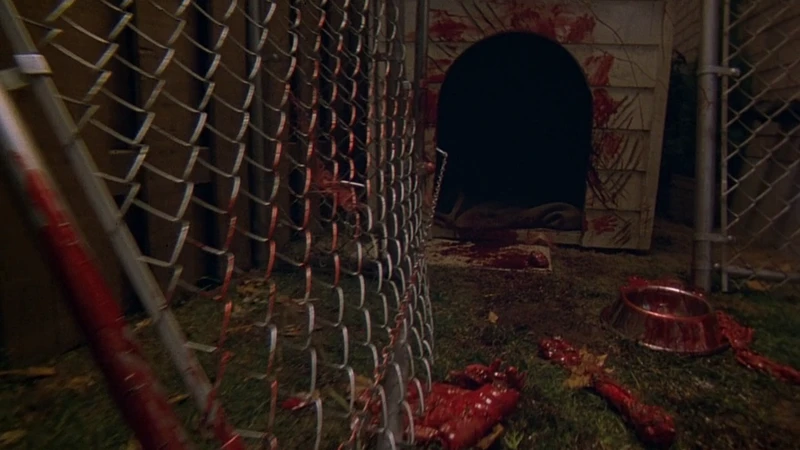 Probably a hawk. Probably a hawk.