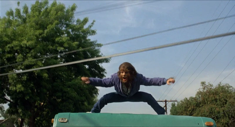 Not one, but two Surfin' U.S.A. videos in one film. Not one, but two Surfin' U.S.A. videos in one film.