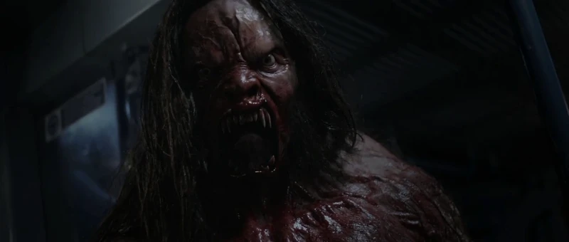 It's not exactly what wolves look like. It's not exactly what wolves look like.