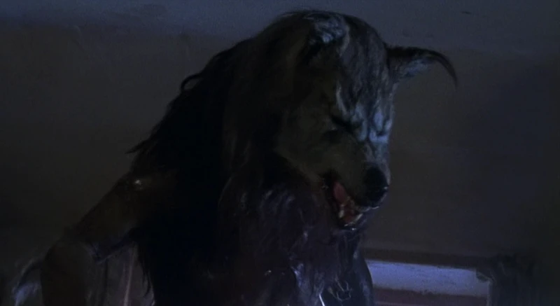 It's for the best that the camera is low-quality.