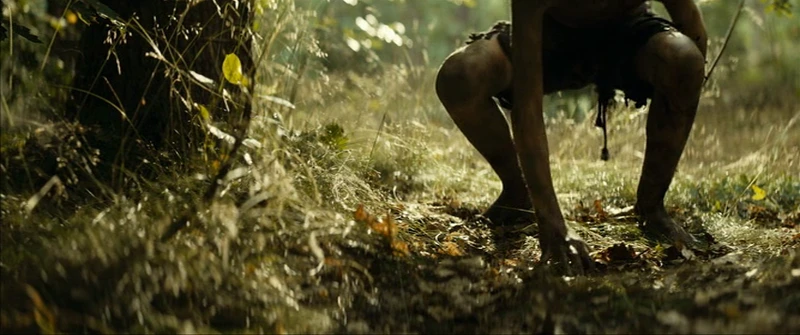 The fortress looks like a giant bird's nest. The fortress looks like a giant bird's nest.