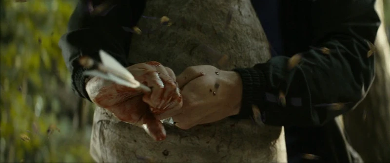 Establishing that the woods are a rube goldberg machine of death. Establishing that the woods are a rube goldberg machine of death.