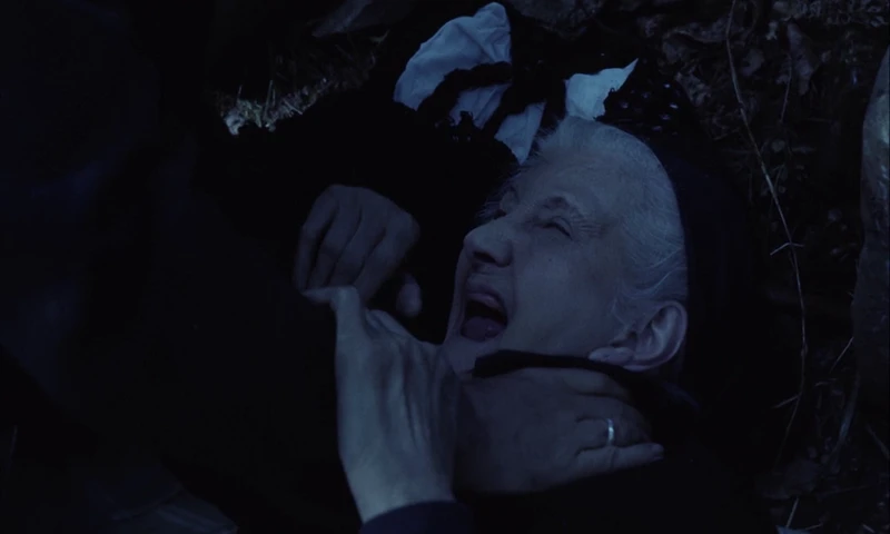 Grandma really should have stayed home. Grandma really should have stayed home.