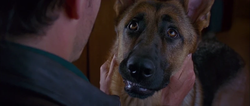 Thor doesn't think people should be reading that kind of stuff. Thor doesn't think people should be reading that kind of stuff.