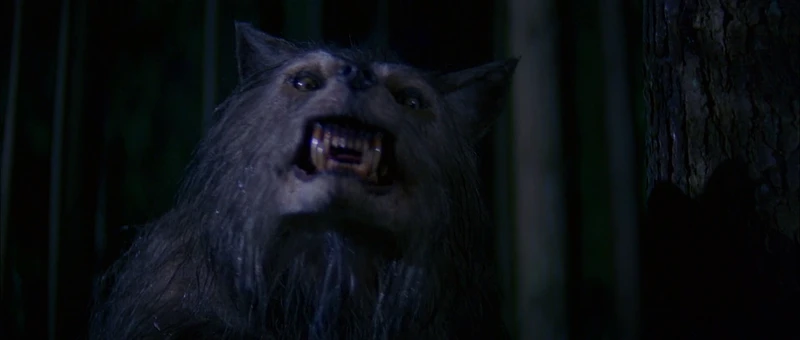 Thus introducing that handcuffs successfully stop a werewolf. Thus introducing that handcuffs successfully stop a werewolf.