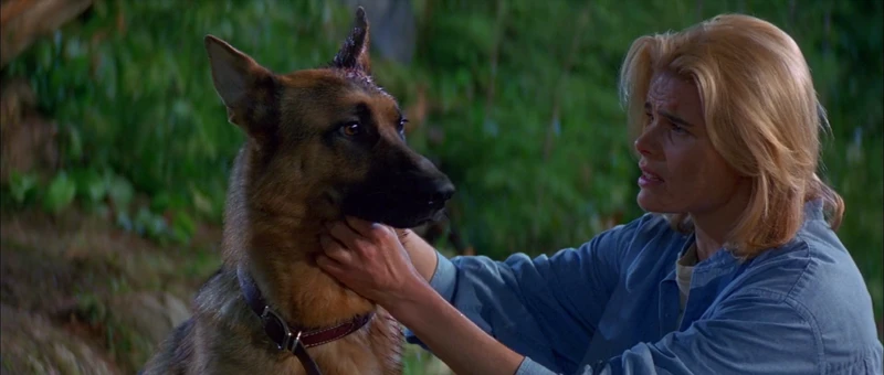 Fights a whole werewolf and nothing but an ear scratch. Fights a whole werewolf and nothing but an ear scratch.