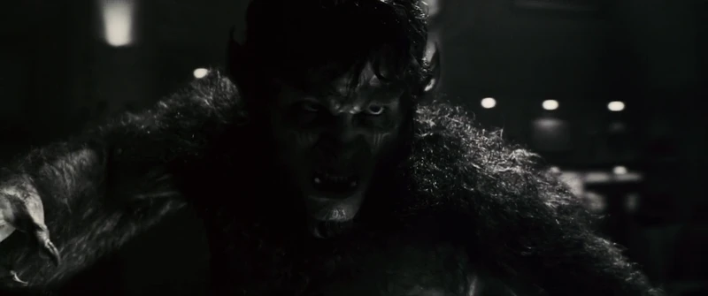 This is not the golden standard for fight scenes. This is not the golden standard for fight scenes.