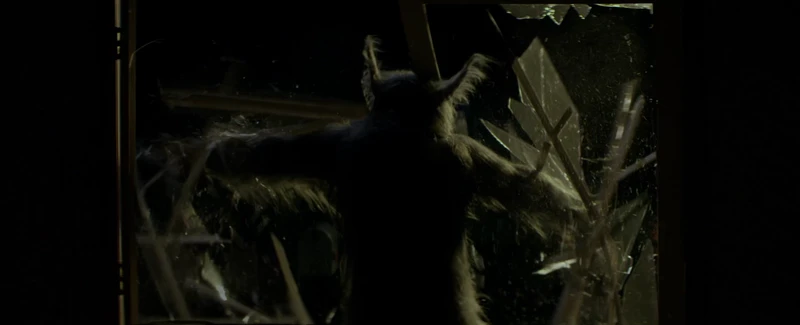 Such an American stance, blaming it on a narrow strip of woods. Such an American stance, blaming it on a narrow strip of woods.