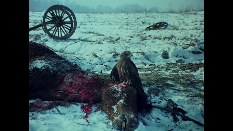 Based on the later dog scene, I don't know for sure. Based on the later dog scene, I don't know for sure.