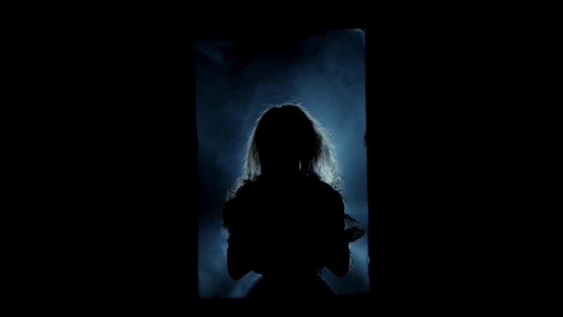 I don't know the difference between a Tartar and a Hussar. I don't know the difference between a Tartar and a Hussar.