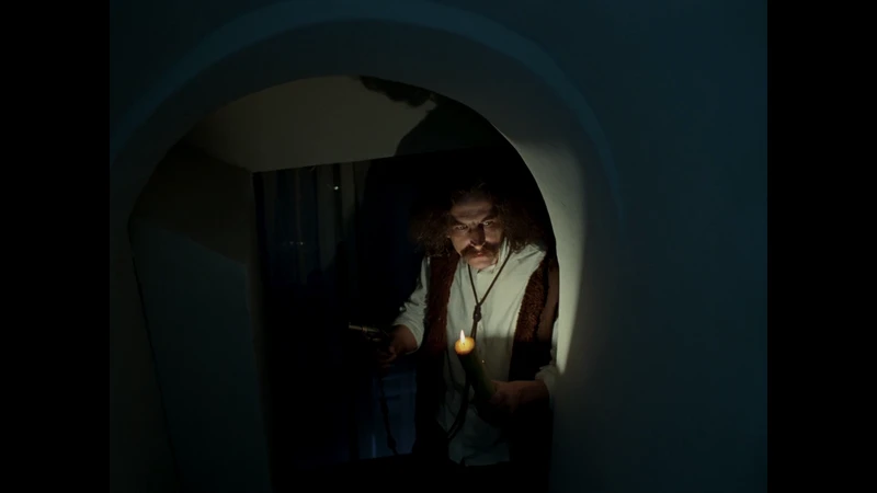 Paw prints in a house with 5 dogs isn't so unusual. Paw prints in a house with 5 dogs isn't so unusual.