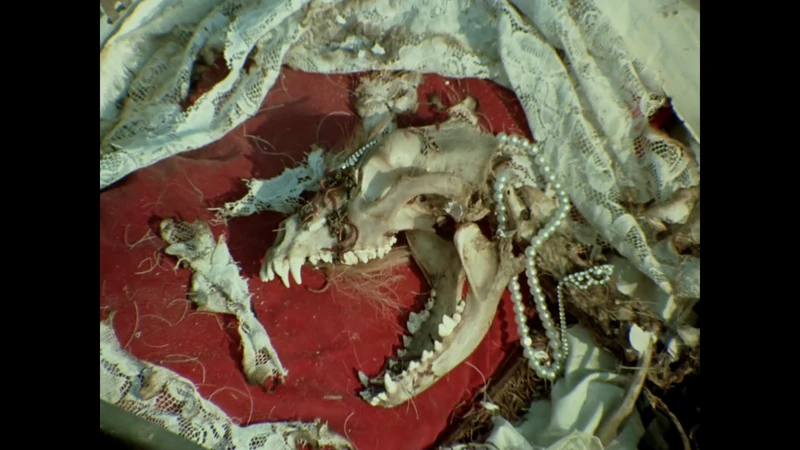 So more of a werehuman than a werewolf. So more of a werehuman than a werewolf.