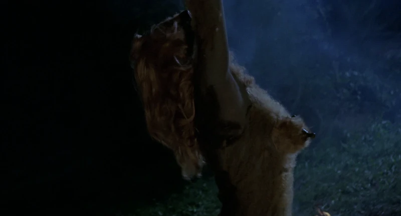 Baby bottle nipples. Baby bottle nipples.