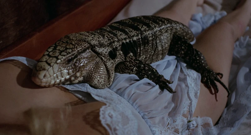 Man, I don't know. Man, I don't know.