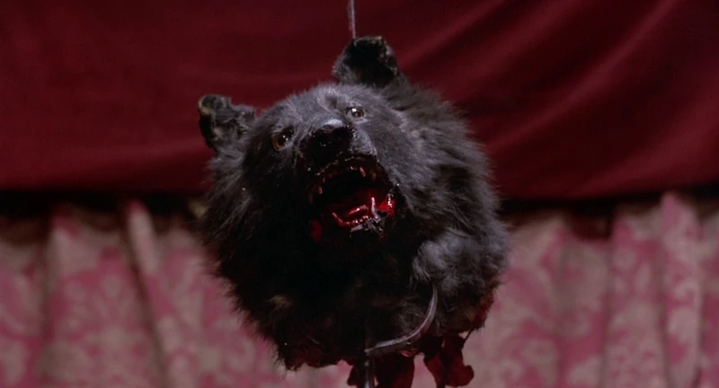 It was just a normal doggy.