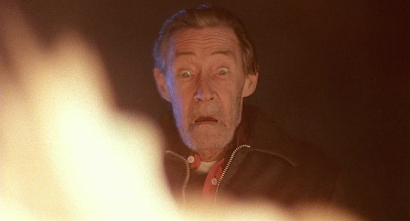 My, what big eyes you have. My, what big eyes you have.