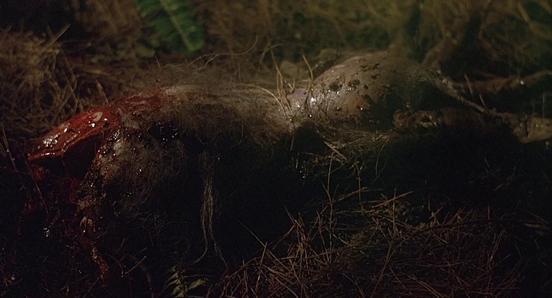 We briefly meet a one-armed man later. We briefly meet a one-armed man later.