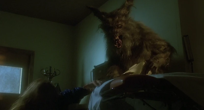 Definitely not focused on the canine aspects. Definitely not focused on the canine aspects.