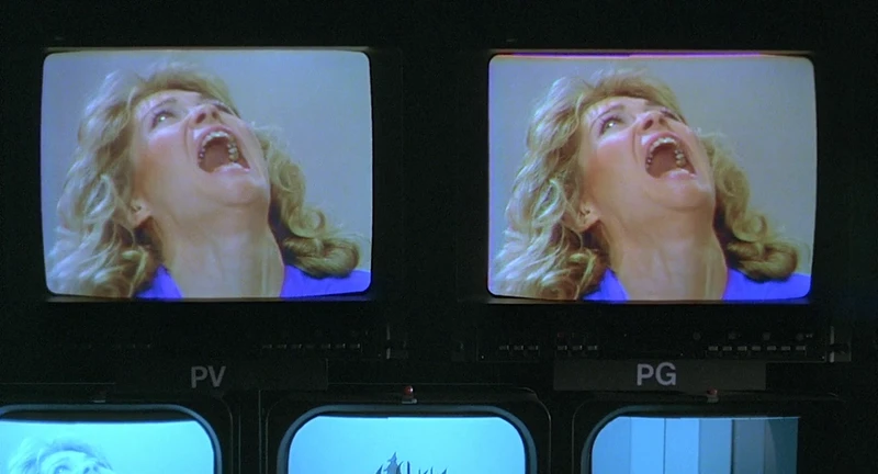 Nobody believes it. Nobody believes it.