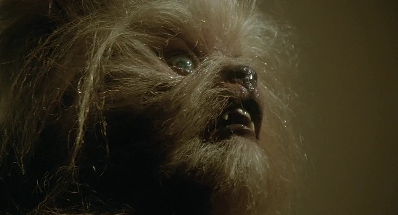 Never feed her after midnight. Never feed her after midnight.