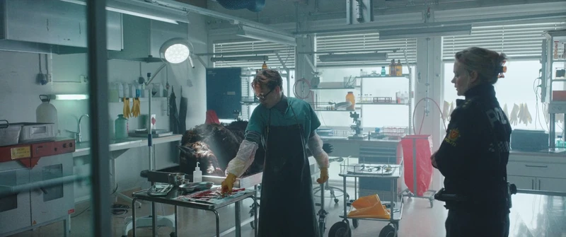 The bullet is recovered in flawless condition. The bullet is recovered in flawless condition.